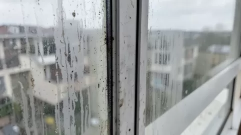 ile za mycie okna balkonowego